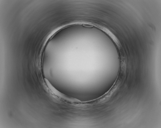 X0000112511004200908171330