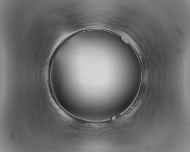 X0000112511005200908171330