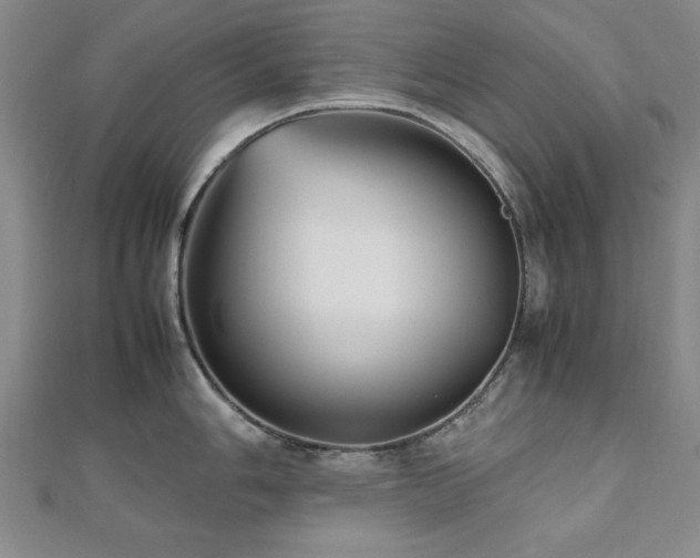 X0000112511006200908171330