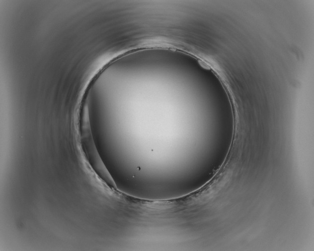 X0000112511008200908171330