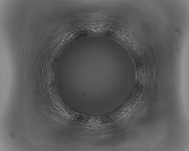X0000112511009200908171329