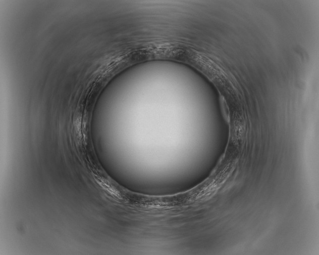 X0000112511010200908171329