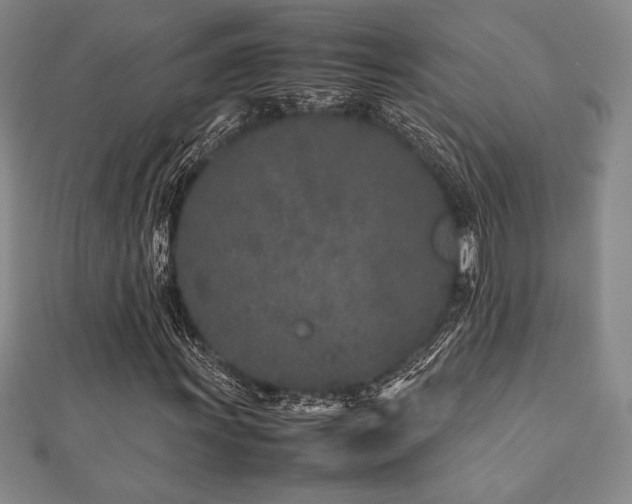X0000112511011200908171329