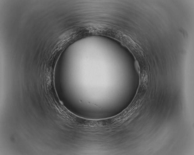X0000112511012200908171329
