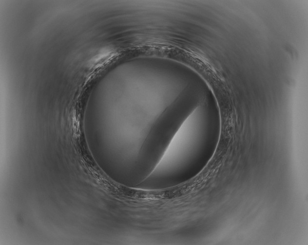 X0000112511013200908171329