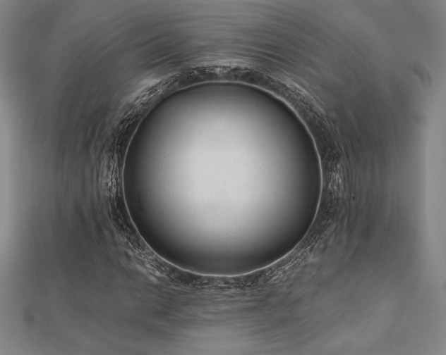 X0000112511014200908171329