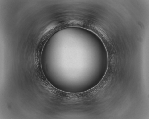 X0000112511015200908171329
