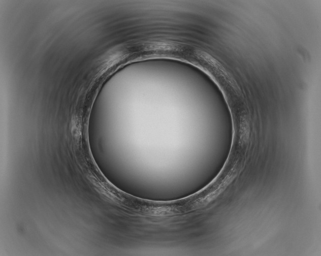 X0000112511017200908171329