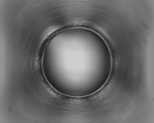 X0000112511018200908171329