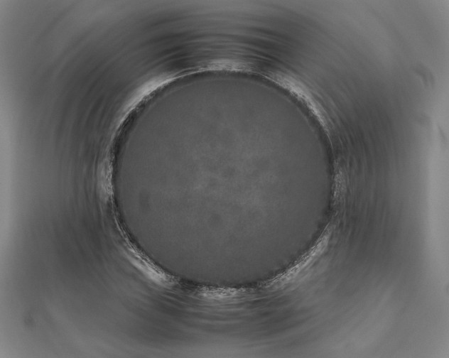 X0000112511019200908171329