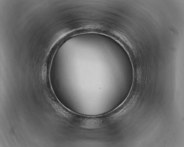 X0000112511021200908171329
