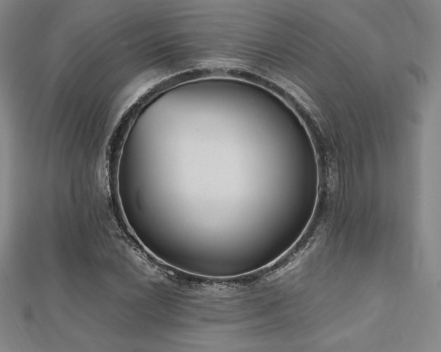 X0000112511022200908171329