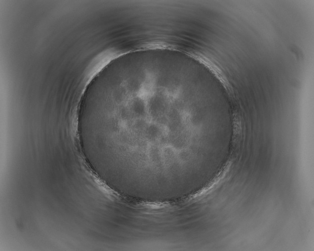 X0000112511023200908171329