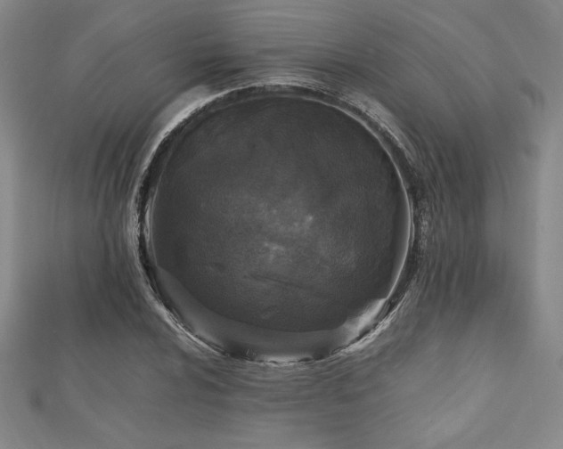 X0000112511024200908171329