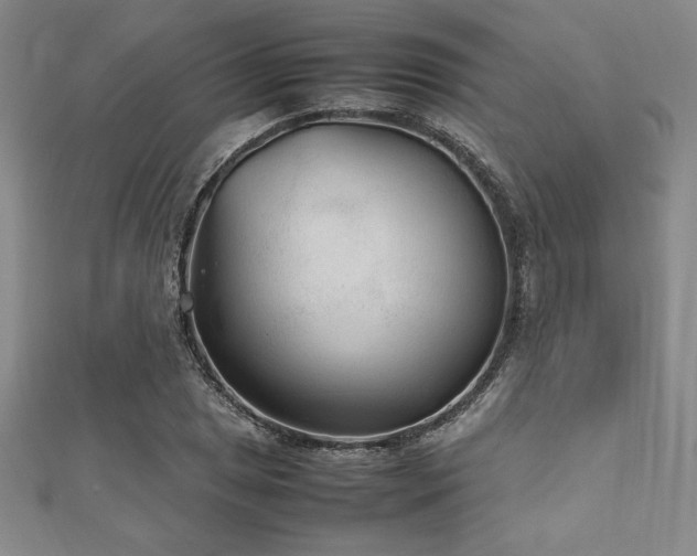 X0000112511025200908171329