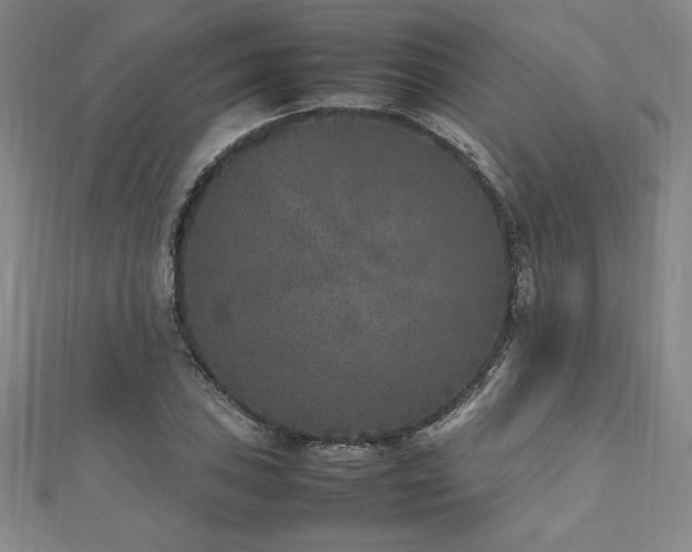X0000112511027200908171329