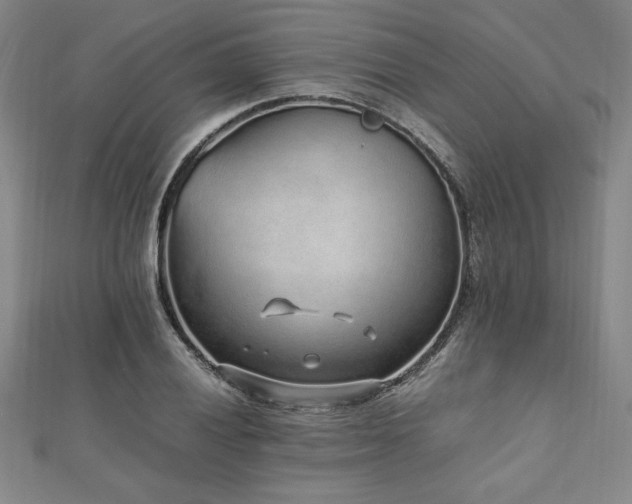 X0000112511028200908171329