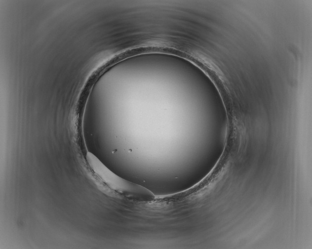 X0000112511029200908171329