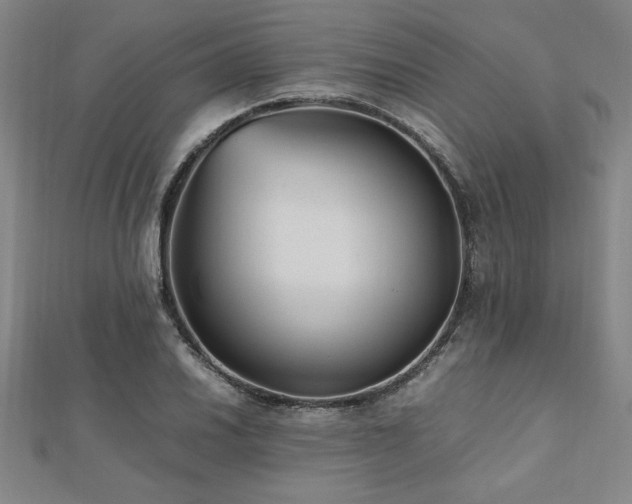 X0000112511030200908171329