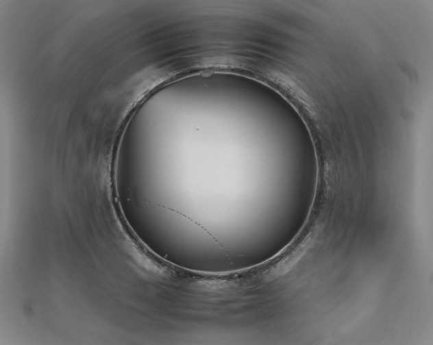 X0000112511033200908171329