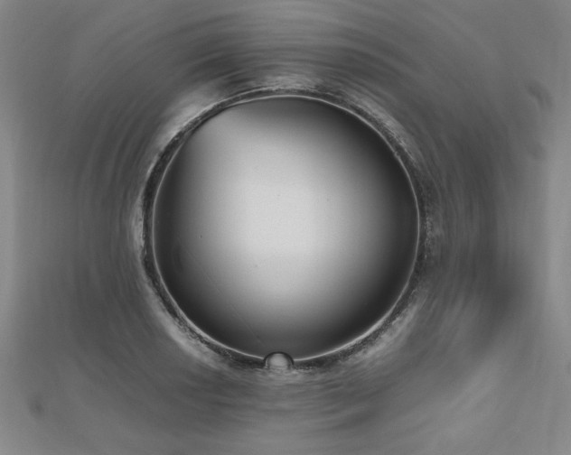 X0000112511034200908171329