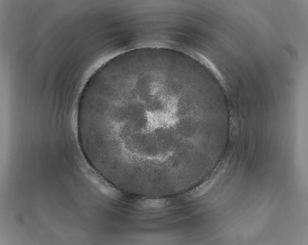 X0000112511035200908171329