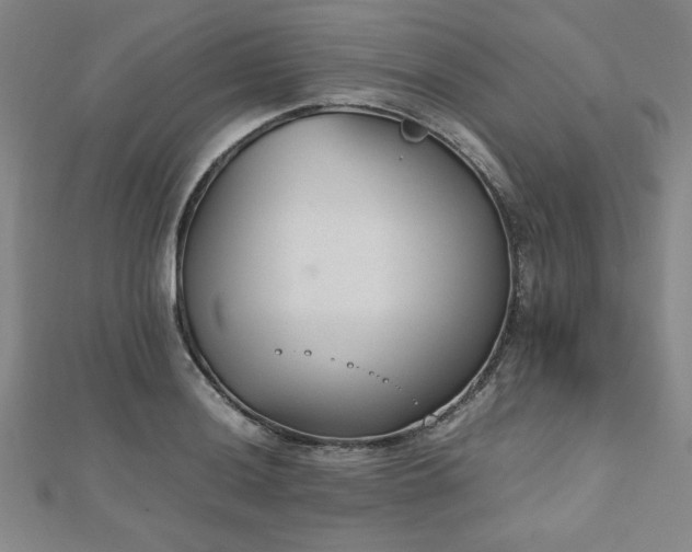 X0000112511036200908171329
