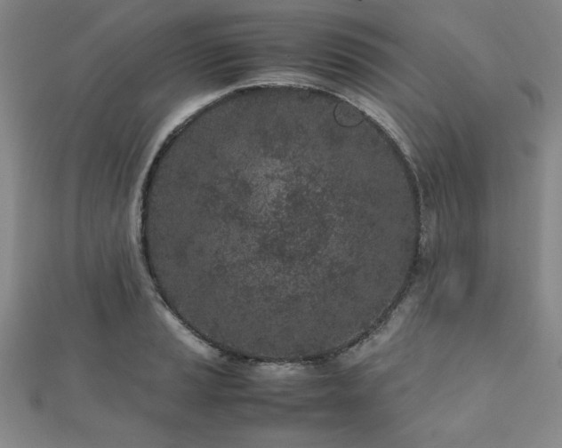 X0000112511037200908171329