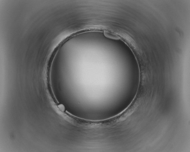 X0000112511038200908171329