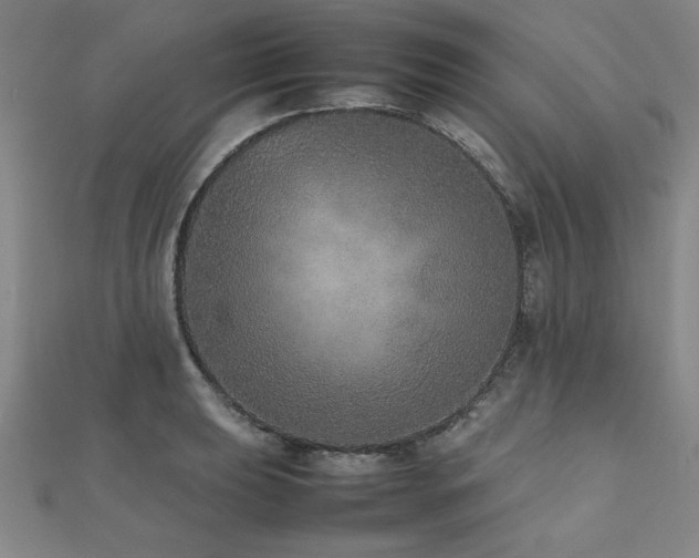 X0000112511039200908171329
