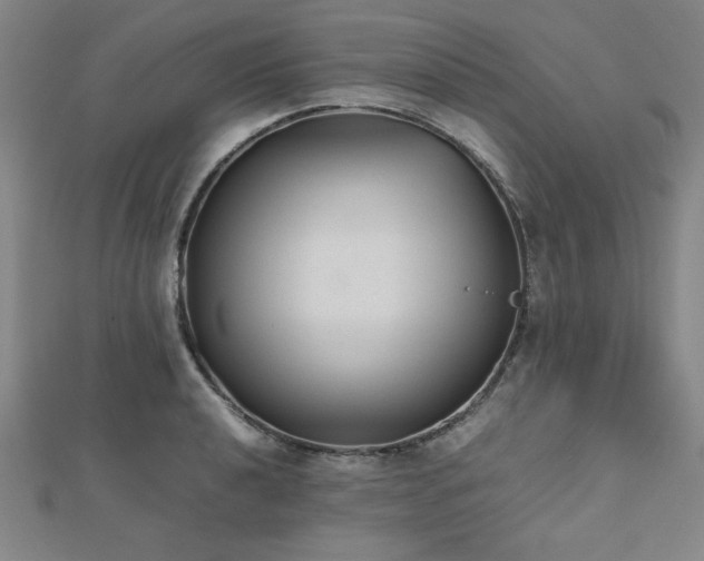 X0000112511040200908171329