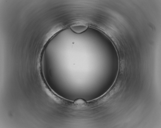 X0000112511042200908171329