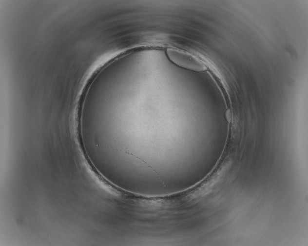 X0000112511045200908171329