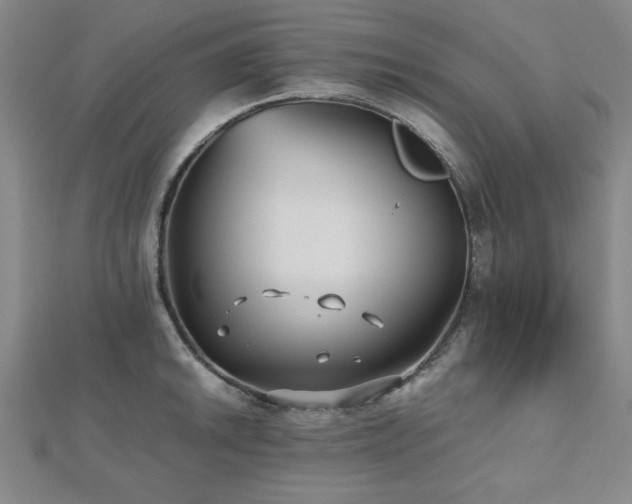 X0000112511046200908171329