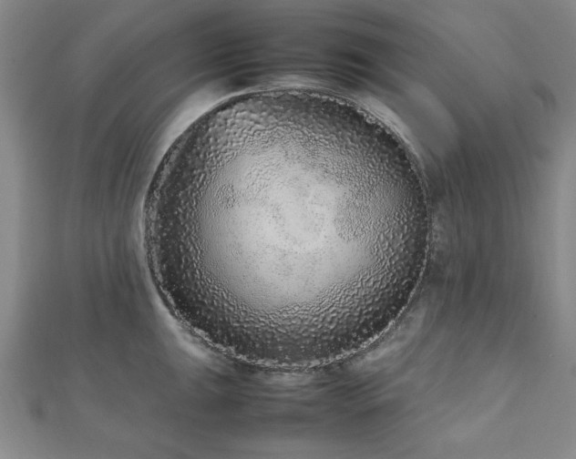 X0000112511047200908171330