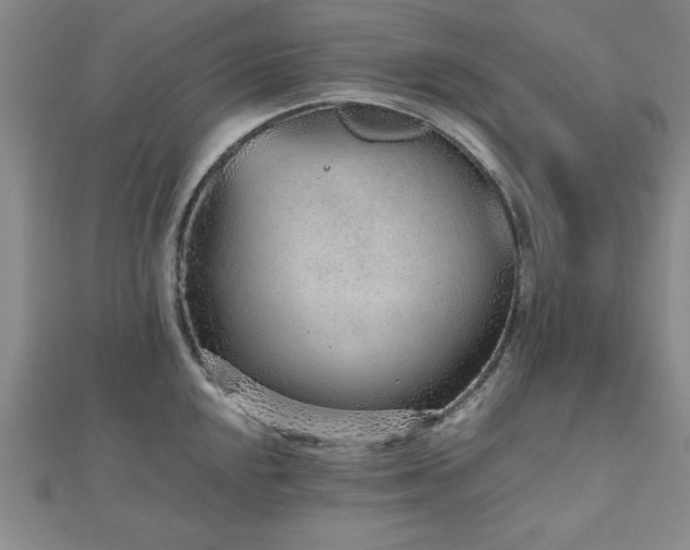 X0000112511048200908171330