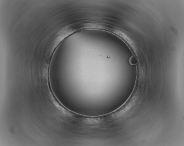 X0000112511049200908171330