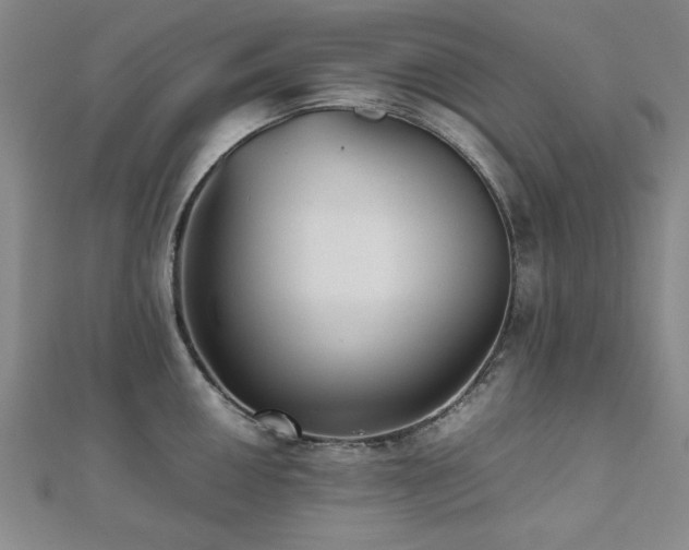 X0000112511050200908171330