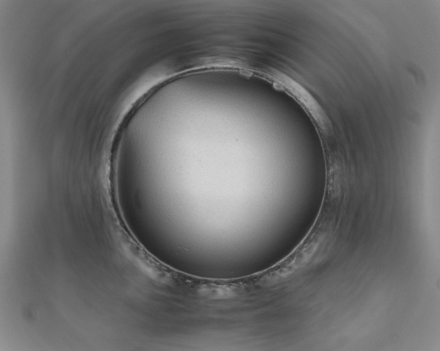 X0000112511051200908171330