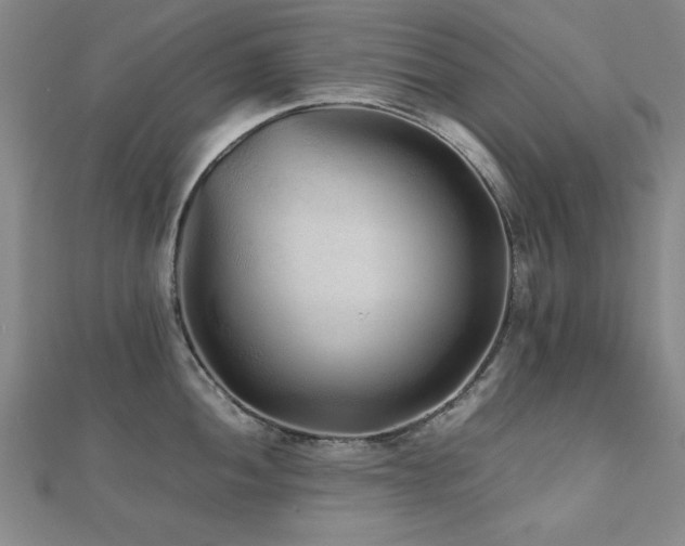 X0000112511052200908171330