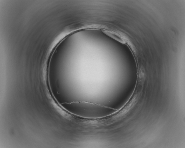 X0000112511054200908171330