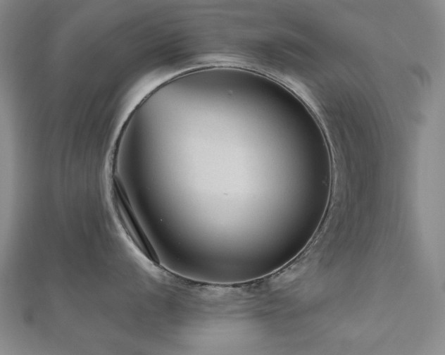 X0000112511056200908171330