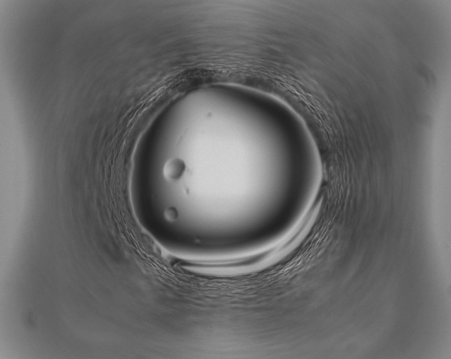 X0000112511057200908171329