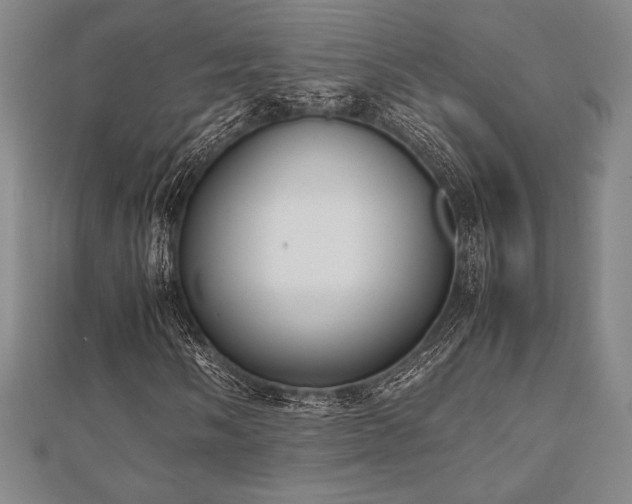 X0000112511058200908171329