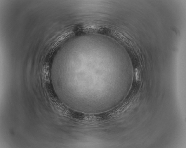 X0000112511059200908171329