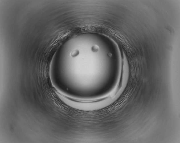 X0000112511060200908171329