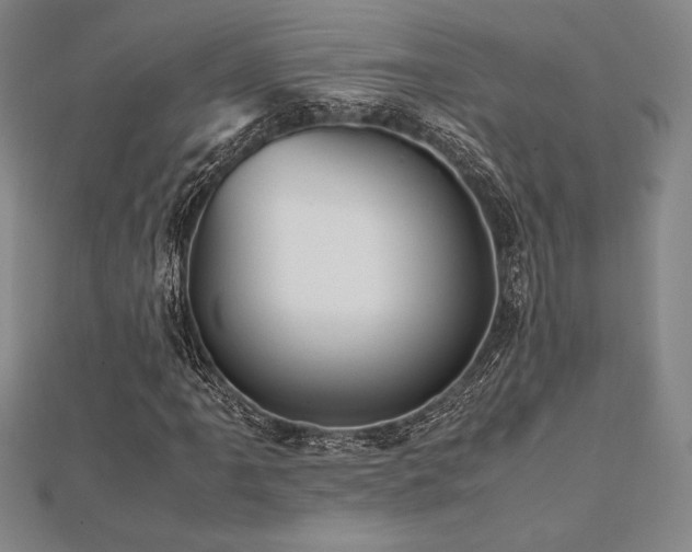 X0000112511061200908171329