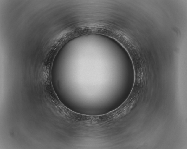 X0000112511062200908171329
