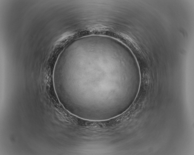 X0000112511063200908171329
