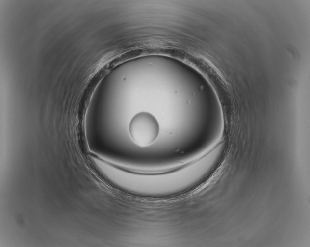 X0000112511065200908171329